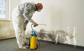 Trusted Montoursville, PA Mold Removal Experts