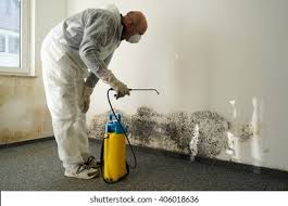 Why You Should Choose Our Mold Remediation Services in Montoursville, PA